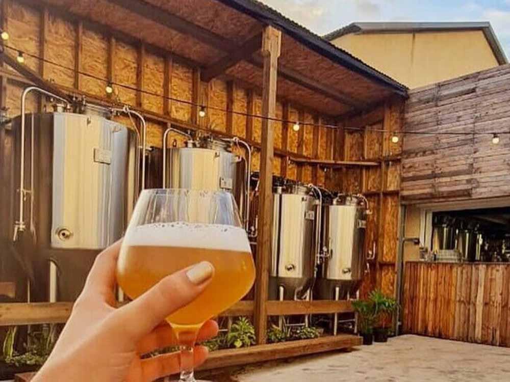 <b>CONTAINER BREWERY</b>